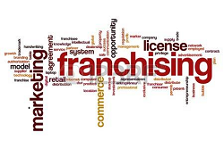 franchise search
